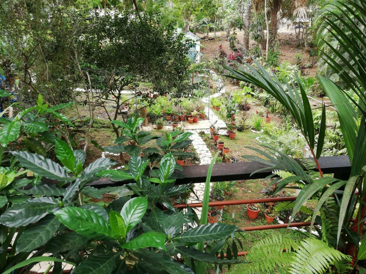 Casa Completa En Gamboa, Canal De Panama Extérieur photo